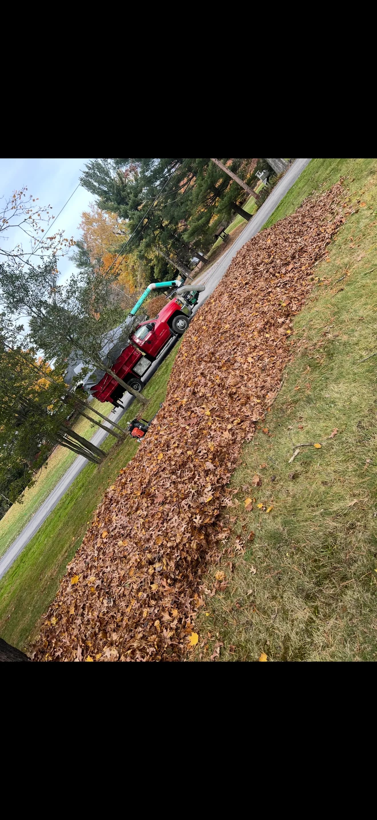 Gallery photos for We're Taking On New Lawn Care Customers: Image #2