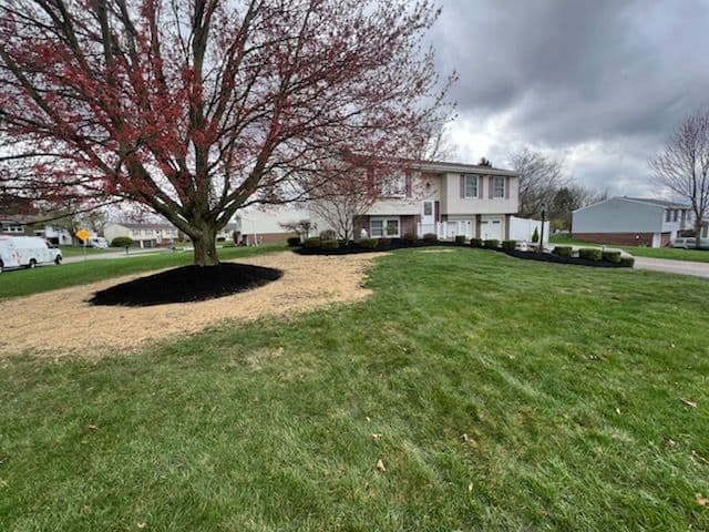Yard Landscaping with Mulching and Lawn Stripes