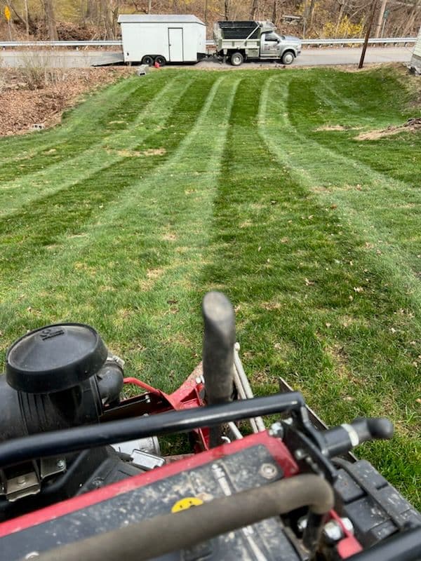 Yard Landscaping with Mulching and Lawn Stripes