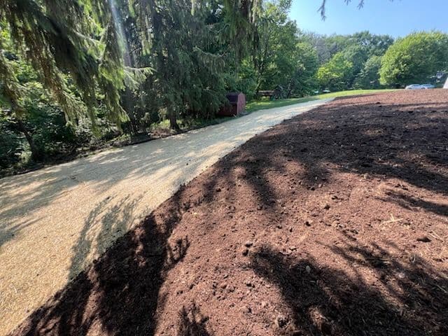 Project Transforming Yards with Expert Lawn Creation image
